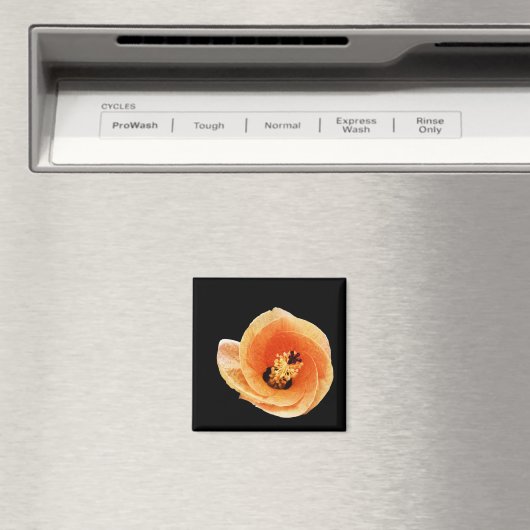 Hibiscus Magneet (Insitu (Vaatwasser))