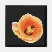 Hibiscus Magneet (Voorkant)