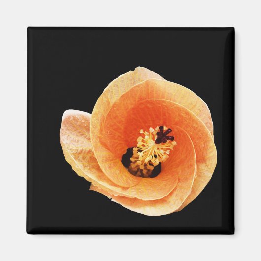 Hibiscus Magneet (Voorkant)