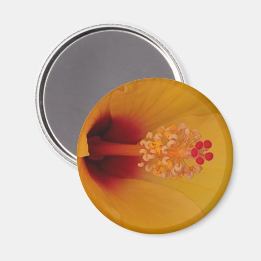 Hibiscus Magneet (Voorkant / Achterkant)