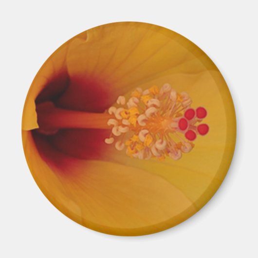 Hibiscus Magneet (Voorkant)