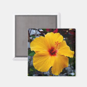 Hibiscus Magneet (Voorkant / Achterkant)