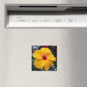 Hibiscus Magneet (Insitu (Vaatwasser))