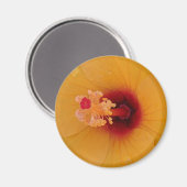 Hibiscus Magneet (Voorkant / Achterkant)