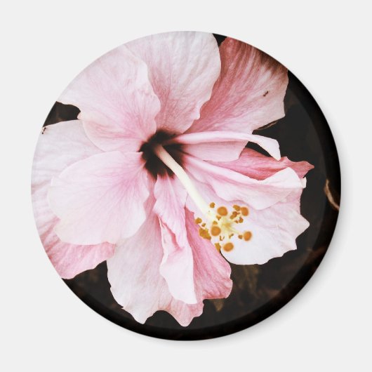 Hibiscus Magneet (Voorkant)