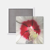 Hibiscus - magneet (Voorkant / Achterkant)