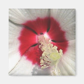 Hibiscus - magneet (Voorkant)