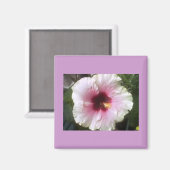 Hibiscus Magnet (Voorkant / Achterkant)