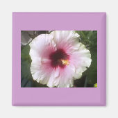 Hibiscus Magnet (Voorkant)