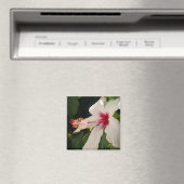 Hibiscus Magnet (Insitu (Vaatwasser))