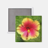 Hibiscus Magnet (Voorkant / Achterkant)
