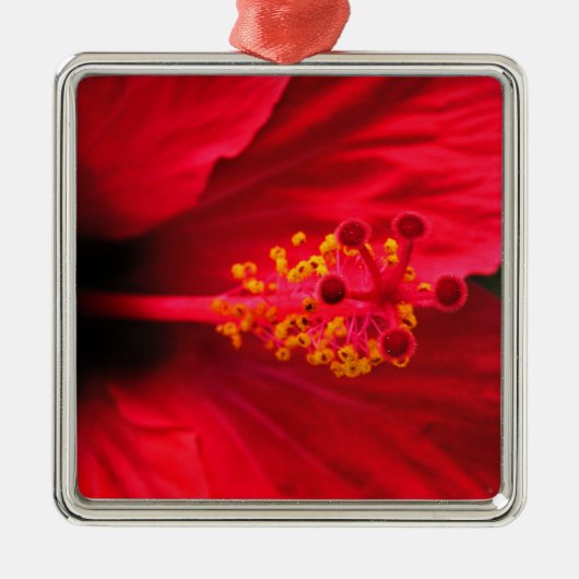 Hibiscus Metalen Ornament (Voorkant)