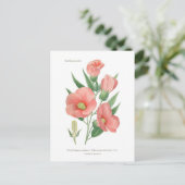 Hibiscus militaris briefkaart (Staand voorkant)