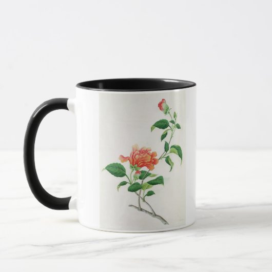 Hibiscus Mok (Links)