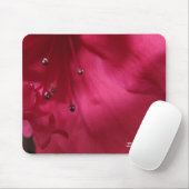 Hibiscus Mousepad Muismat (Met muis)