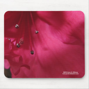 Hibiscus Mousepad Muismat