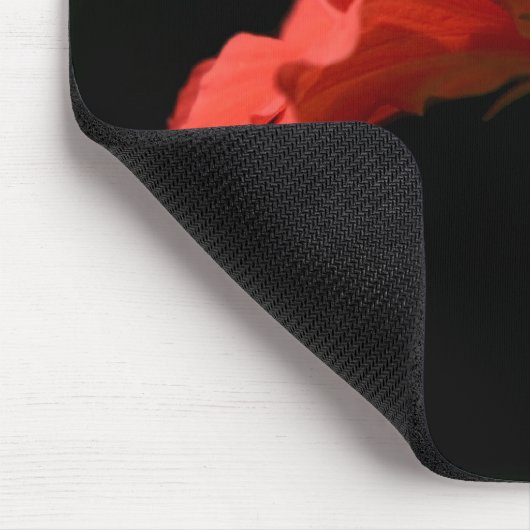 Hibiscus Muismat (Hoek)