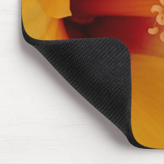 Hibiscus Muismat (Hoek)