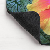 hibiscus muismat (Hoek)