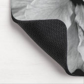 Hibiscus Muismat (Hoek)