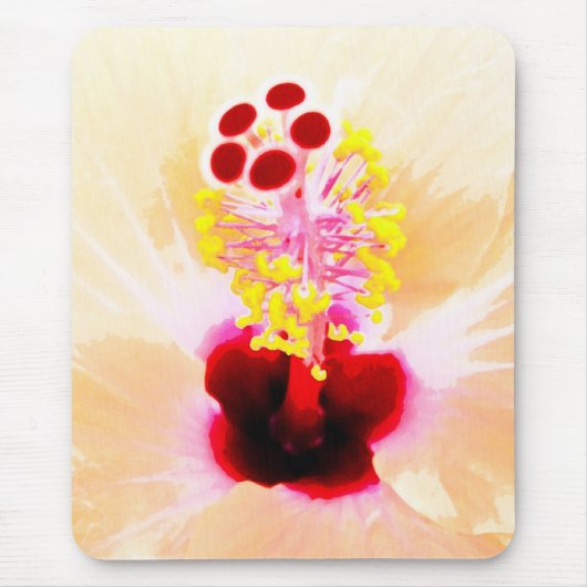 Hibiscus Muismat (Voorkant)
