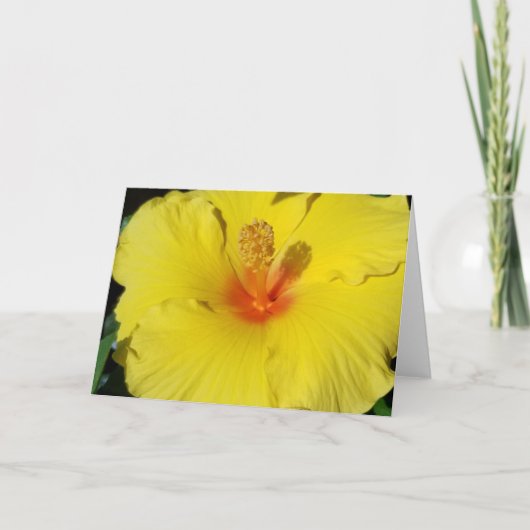 Hibiscus Notecard Kaart (Voorkant)