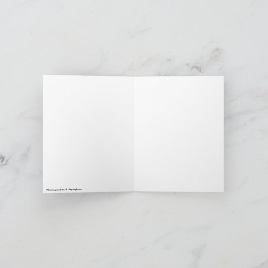 Hibiscus notecard, variëteit kaart (Binnen)