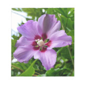 Hibiscus Notitieblok (Voorkant)
