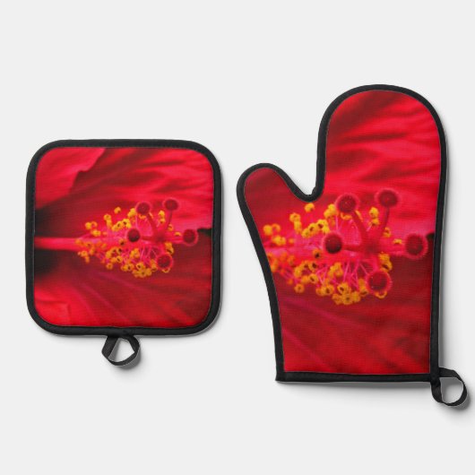 Hibiscus Ovenwant & Pannenlap Set (Voorkant)