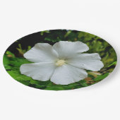 Hibiscus papier Bord (Gekanteld)