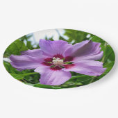 Hibiscus papier Bord (Gekanteld)