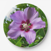 Hibiscus papier Bord (Voorkant)