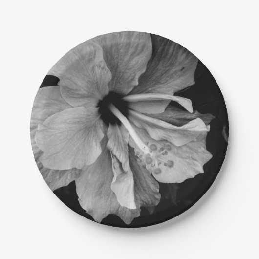 Hibiscus Papieren Bordje (Voorkant)
