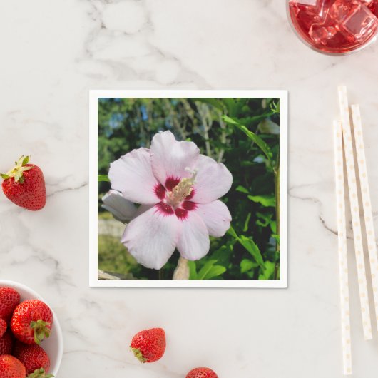 Hibiscus papieren servetten (Insitu)