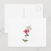 hibiscus, pink hibiscus, white hibiscus, dual flow briefkaart (Voorkant / Achterkant)