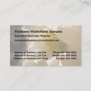 Hibiscus Pink over Sepia Visitekaartje