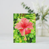 Hibiscus, Placencia, Belize Briefkaart (Staand voorkant)