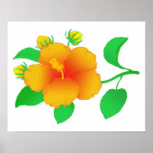 Hibiscus Poster (Voorkant)