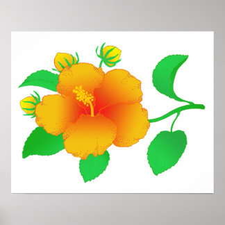 Hibiscus Poster