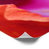 Hibiscus Poster (Hoek)