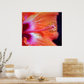 Hibiscus Poster (Keuken)