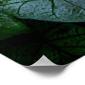 hibiscus poster (Hoek)