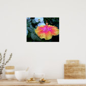 hibiscus poster (Keuken)