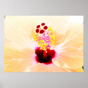 Hibiscus Poster