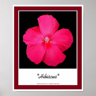 Hibiscus Poster