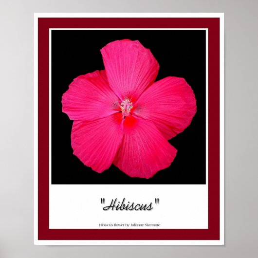 Hibiscus Poster (Voorkant)