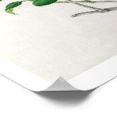 Hibiscus Poster (Hoek)