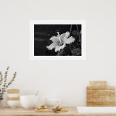 Hibiscus poster #2 (Keuken)