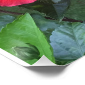 Hibiscus print perfect poster (Hoek)