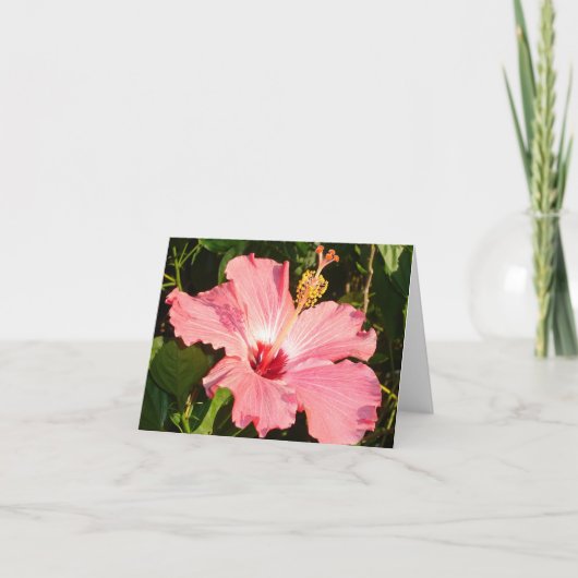 Hibiscus - R Kaart (Voorkant)
